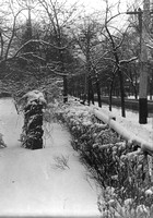The fence of the Austin Estate in winter, date unknown
