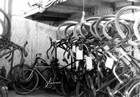 Inside Philader Barcaly's Bicycle Repair Shop, c. 1902